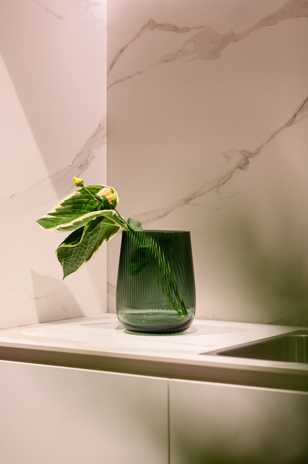 Vaso Ripple