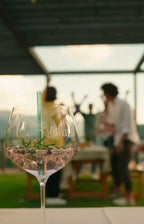 Calici da gin "Let the Party beGIN"