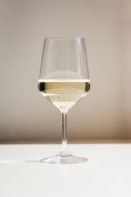 Calici da vino bianco Lifestyle | set da 4