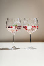 Calici da gin "Let the Party beGIN"
