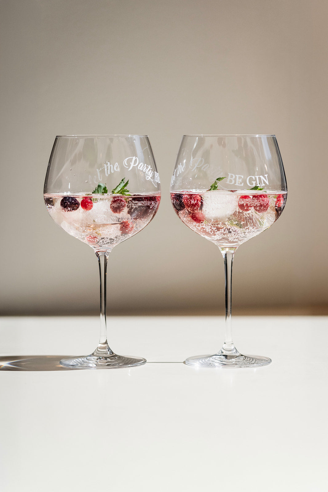 Calici da gin "Let the Party beGIN"